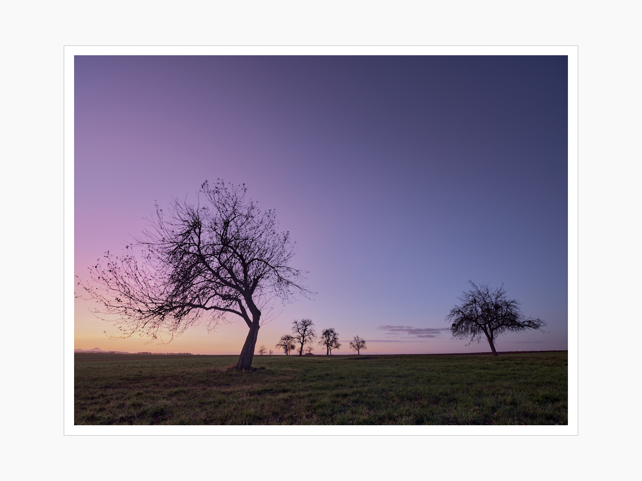 Max Schiefele Alle Bilder  DSF3801